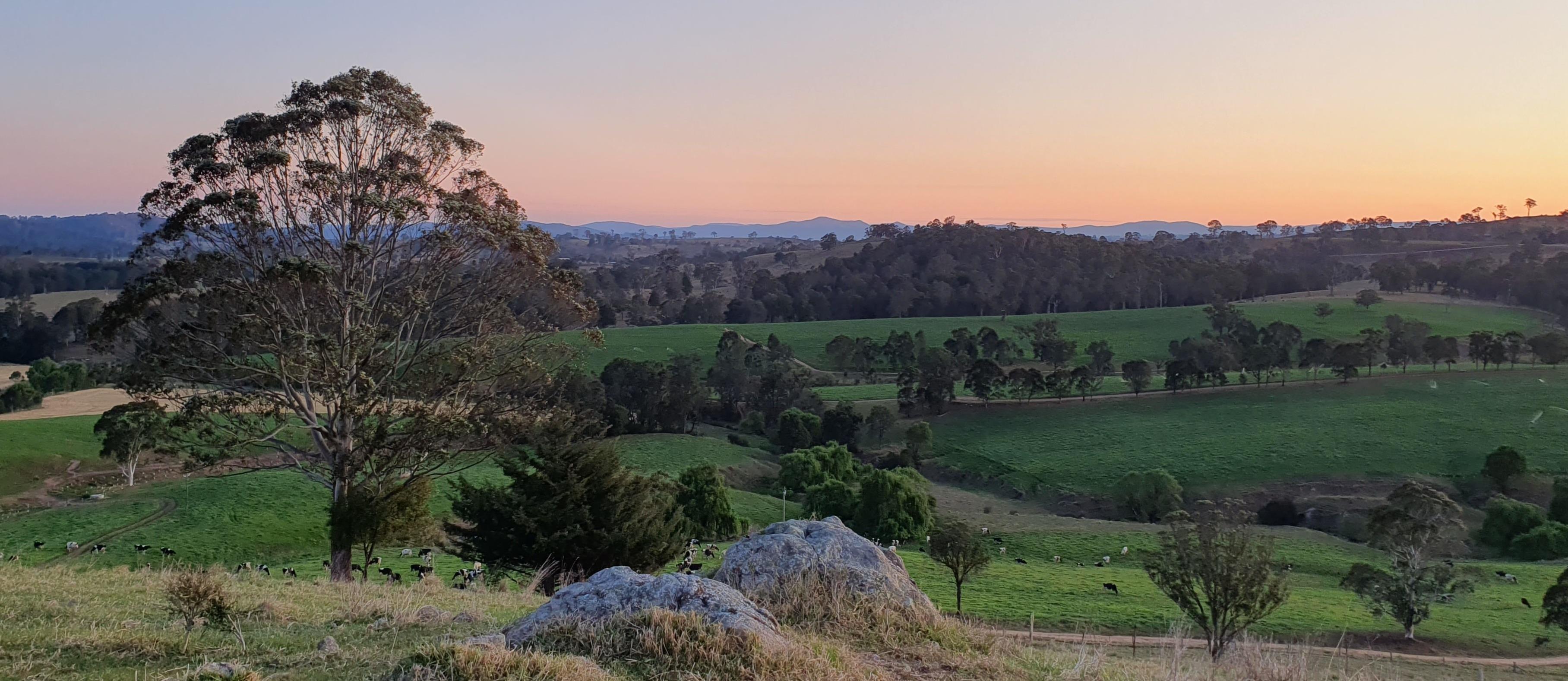 The Australian Government has advised that the Workforce Incentive Program (WIP) – Rural Advanced Skills Stream has been extended one year until 31 December 2026.
